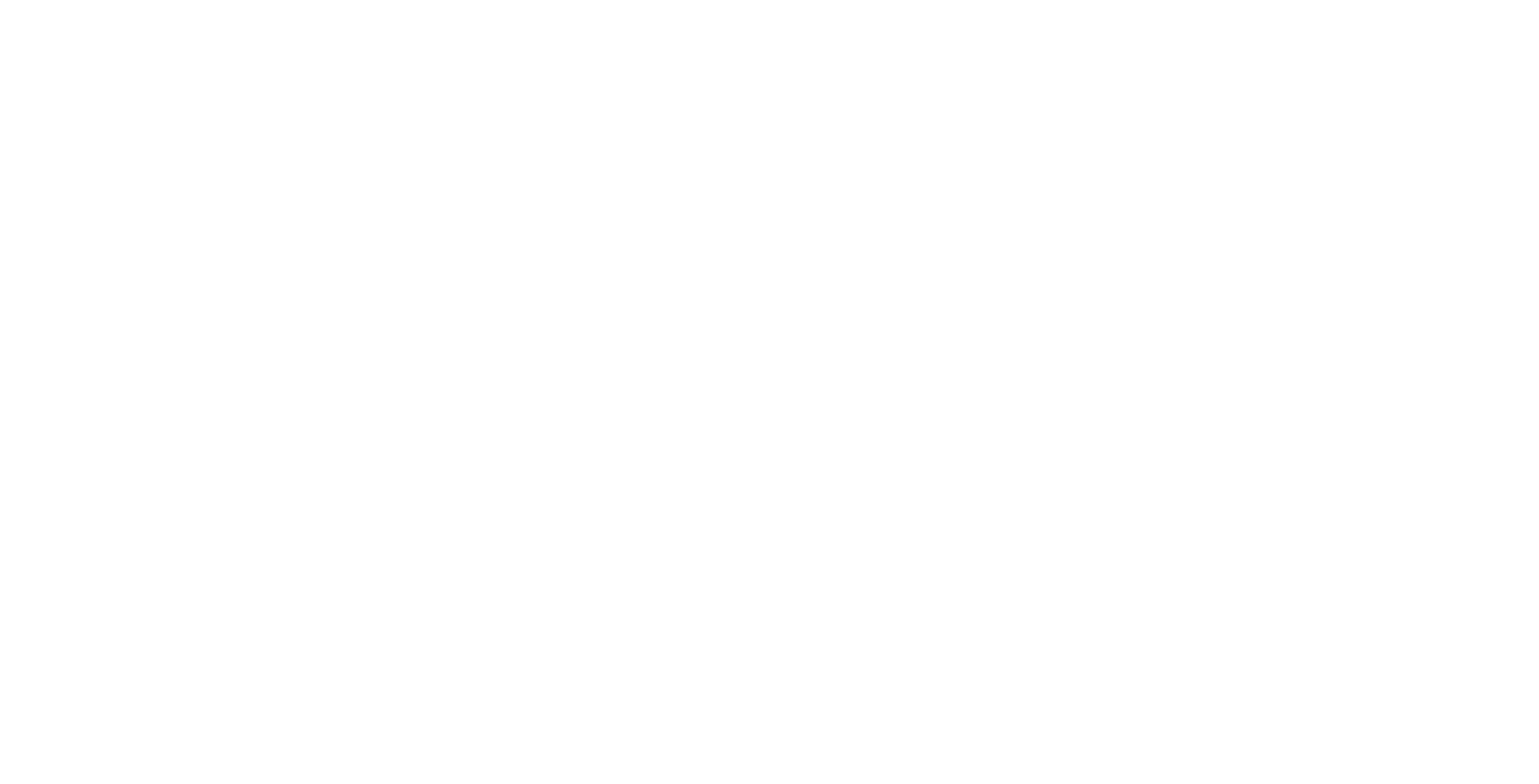 RhInno-logo-v2 -white